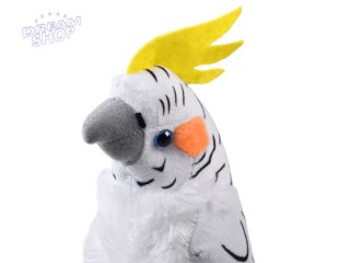 Maskotka Papuga biała nimfa 17cm 13574