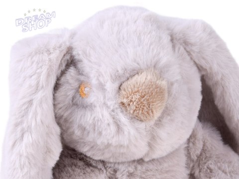 Maskotka Pluszak Królik Charlotte 25cm 13222 Maskotka Pluszak Królik Charlotte 25cm 13222
