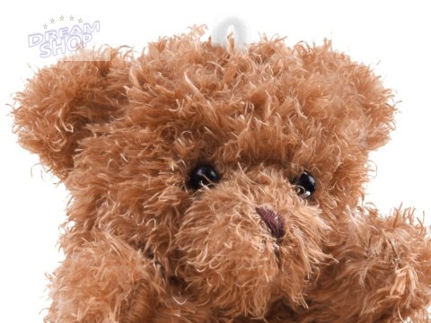 Pluszowy MIŚ Przytulanka maskotka zawieszka ZA4404