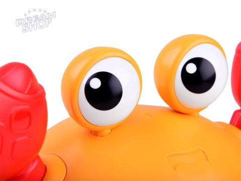Uciekający Krab zabawka do raczkowania ZA4476 Uciekający Krab zabawka do raczkowania ZA4476