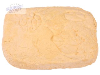 Kopalnia kamieni Wykopaliska archeologiczne ZA4469
