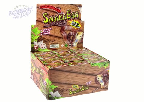 Wykluwające się Rosnące Magiczne Jajko Węże 6cm Wykluwające się Rosnące Magiczne Jajko Węże 6cm
