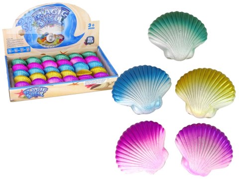 Zwierzęta Morskie Rosnąca Magiczna muszla 6 cm Zwierzęta Morskie Rosnąca Magiczna muszla 6 cm