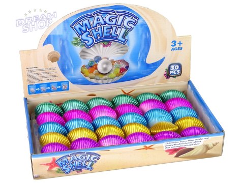 Zwierzęta Morskie Rosnąca Magiczna muszla 6 cm Zwierzęta Morskie Rosnąca Magiczna muszla 6 cm