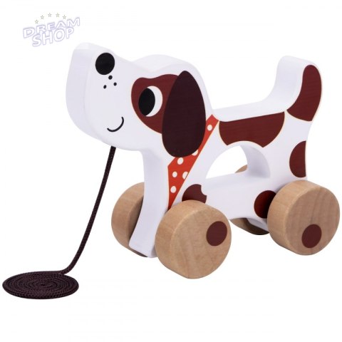 Tooky Toy Edukacyjne Pudełko dla Dzieci z 6w1 od 19 miesiąca Tooky Toy Edukacyjne Pudełko dla Dzieci z 6w1 od 19 miesiąca
