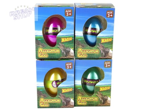 Rosnące Jajo Aligatora Krokodyla 6cm Rosnące Jajo Aligatora Krokodyla 6cm