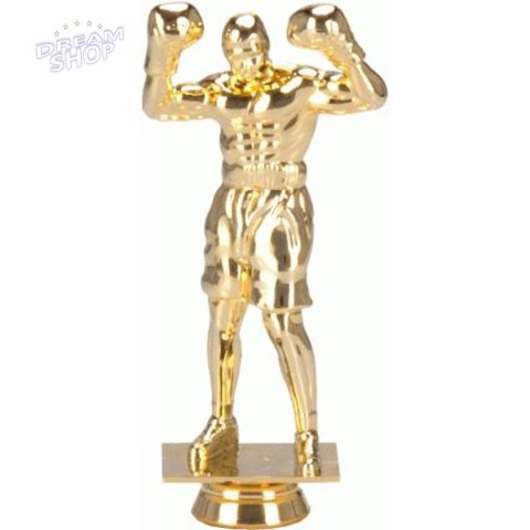 Figurka Plastikowa Boks F248/G Figurka Plastikowa Boks F248/G