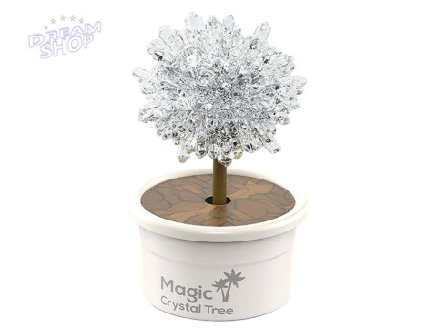 Magiczne Drzewko Hodowla Kryształów Doświadczenia Srebrne Magiczne Drzewko Hodowla Kryształów Doświadczenia Srebrne