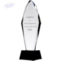 Trofeum Szklane Grawerowane H 31 Cm