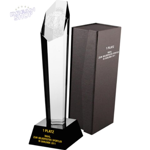 Trofeum Szklane Grawerowane Z Etui + Wypełnienie Farbą Trofeum Szklane Grawerowane Z Etui + Wypełnienie Farbą