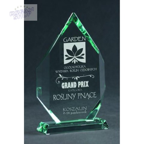 Trofeum Szklane Grawerowane Z Etui Trofeum Szklane Grawerowane Z Etui