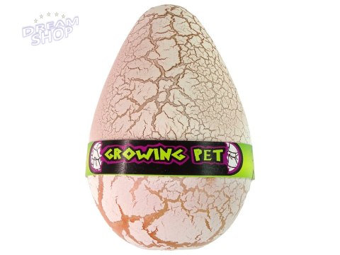 Rosnące Jajo Dinozaura 12 cm Rosnące Jajo Dinozaura 12 cm