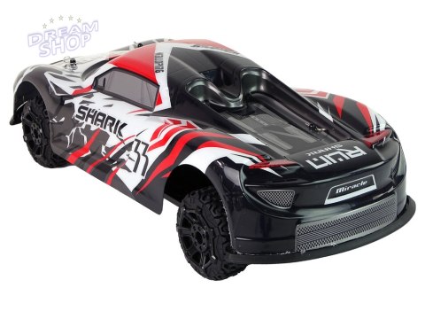 Auto Sportowe R/C 1:8 Szary Biały Auto Sportowe R/C 1:8 Szary Biały