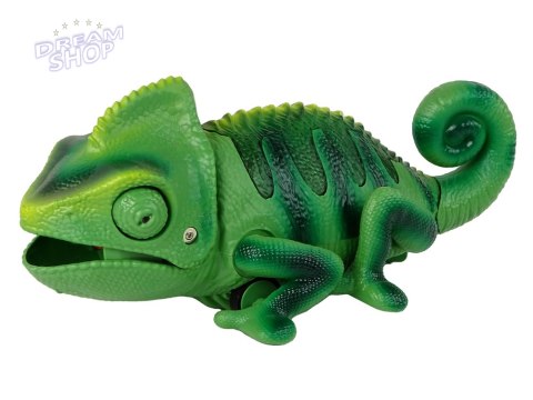 Kameleon Zdalnie Sterowany Zielony Światła 28 cm Kameleon Zdalnie Sterowany Zielony Światła 28 cm