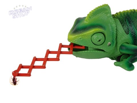 Kameleon Zdalnie Sterowany Zielony Światła 28 cm Kameleon Zdalnie Sterowany Zielony Światła 28 cm