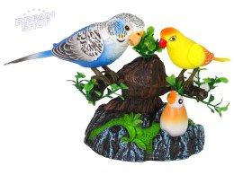 Śpiewające Ruchome Papużki Drzewko Kolorowe