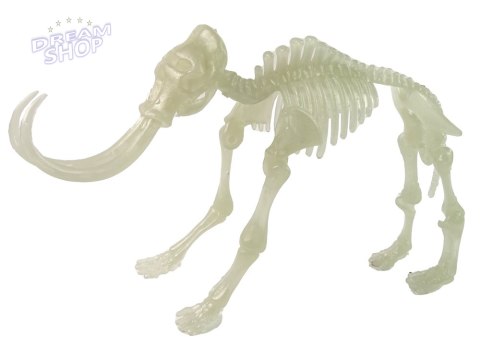 Świecący W Ciemności Szkielet 3D Dinozaury Mamut w Jajku Świecący W Ciemności Szkielet 3D Dinozaury Mamut w Jajku