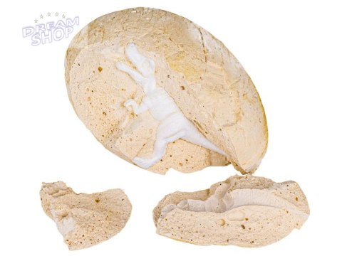 Wykopaliska Archeologiczne, JAJKO Z DINOZAUREM, Mały Archeolog - Zestaw Wykopaliska Archeologiczne, JAJKO Z DINOZAUREM, Mały Archeolog - Zestaw
