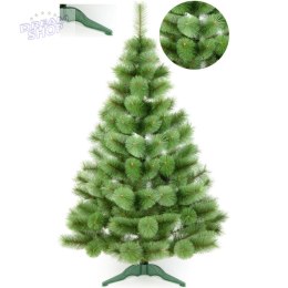 CHOINKA ŻYŁKA KLARA NIEROZCZEPIONA 220CM