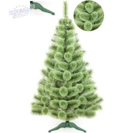 CHOINKA ŻYŁKA KLARA ROZCZEPIONA 220CM