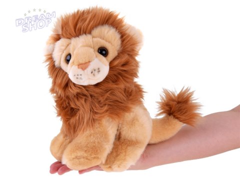 Maskotka Lew pluszowy 20cm król zwierząt 13486 Maskotka Lew pluszowy 20cm król zwierząt 13486