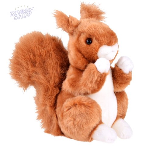 Maskotka ruda Wiewiórka pospolita 22cm plusz 13398 Maskotka ruda Wiewiórka pospolita 22cm plusz 13398