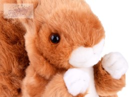 Maskotka ruda Wiewiórka pospolita 22cm plusz 13398