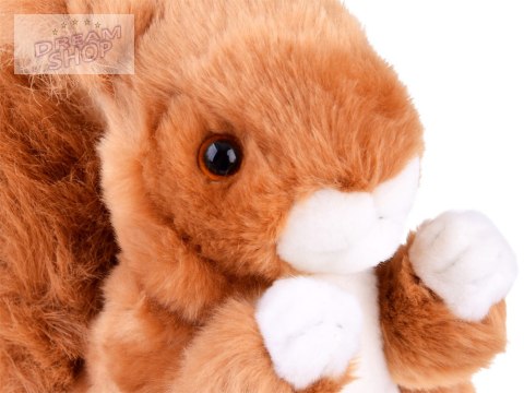 Maskotka ruda Wiewiórka pospolita 22cm plusz 13398 Maskotka ruda Wiewiórka pospolita 22cm plusz 13398