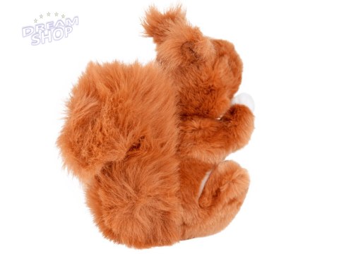 Maskotka ruda Wiewiórka pospolita 22cm plusz 13398 Maskotka ruda Wiewiórka pospolita 22cm plusz 13398