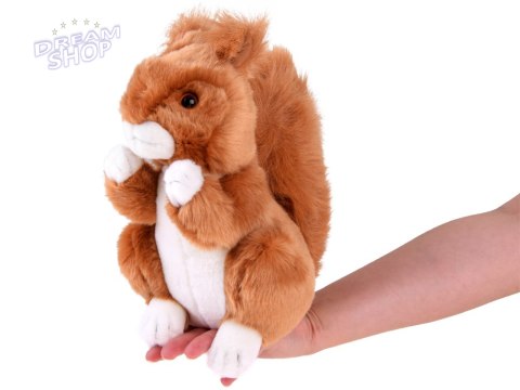 Maskotka ruda Wiewiórka pospolita 22cm plusz 13398 Maskotka ruda Wiewiórka pospolita 22cm plusz 13398