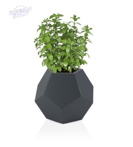 Designerska donica MONUMO ALMA Antracyt