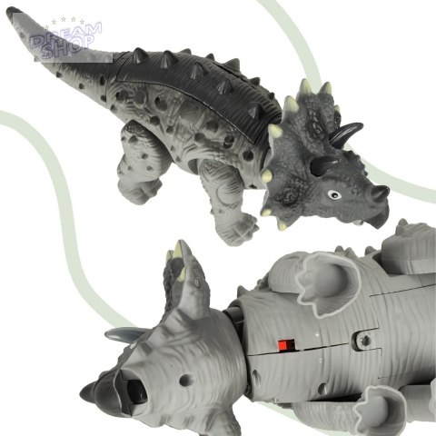 Dinozaur Triceratops chodzi świeci ryczy Dinozaur Triceratops chodzi świeci ryczy