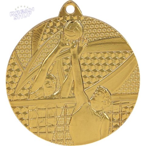 Medal Złoty- Siatkówka Medal Złoty- Siatkówka