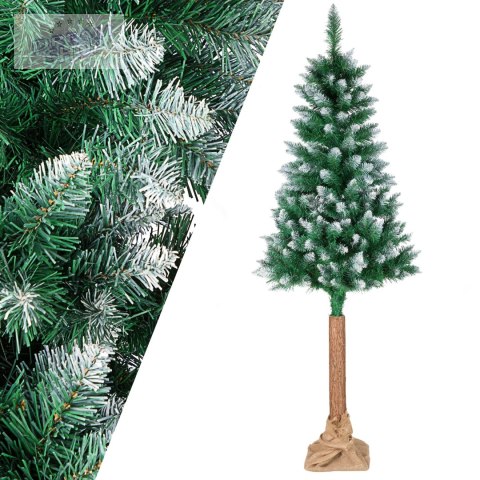 Choinka na pniu NOELA sosna 180 cm stojak Choinka na pniu NOELA sosna 180 cm stojak