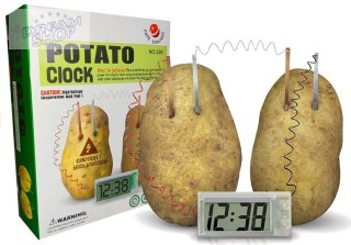 Zestaw Kreatywny Eko Zegar z Ziemniaka POTATO
