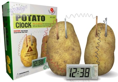 Zestaw Kreatywny Eko Zegar z Ziemniaka POTATO