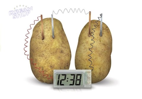 Zestaw Kreatywny Eko Zegar z Ziemniaka POTATO