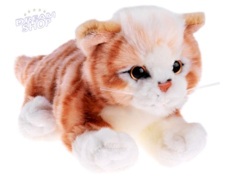 Maskotka kot rudy kotek leżący 30 cm pluszak 13736 Maskotka kot rudy kotek leżący 30 cm pluszak 13736