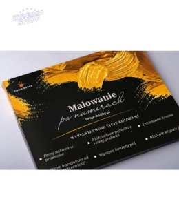 Malowanie po numerach 40x50 Disneyland
