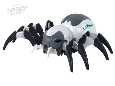 Duży Pająk Zdalnie Sterowany RC Na Baterie Biało-Siwy
