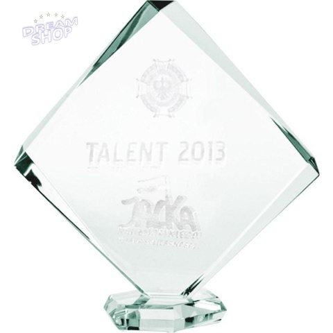 Trofeum szklane grawerowane 3D z etui Trofeum szklane grawerowane 3D z etui