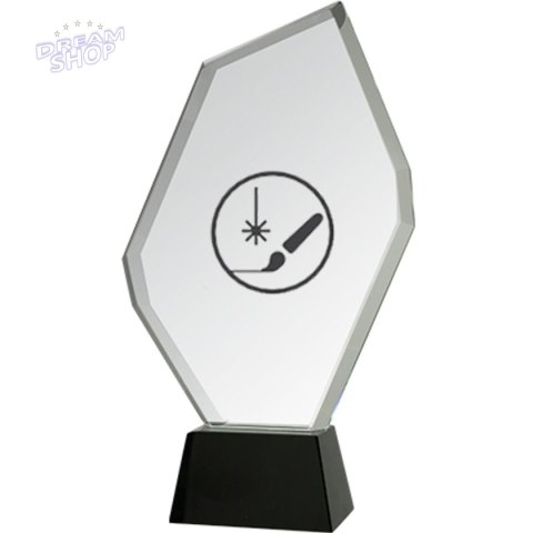 Trofeum szklane grawerowane z etui + wypełnienie farbą Trofeum szklane grawerowane z etui + wypełnienie farbą