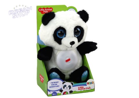 Miś Panda Usypiacz Lampka Kołysanki Przytulanka Maskotka 30 cm Miś Panda Usypiacz Lampka Kołysanki Przytulanka Maskotka 30 cm