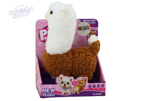 Lama Interaktywne Zwierzątko Alpaka Brązowa Chodzi Gra 23 cm Lama Interaktywne Zwierzątko Alpaka Brązowa Chodzi Gra 23 cm