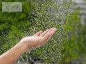 Bestway przenośny prysznic ogrodowy solarny SolarFlow 58694