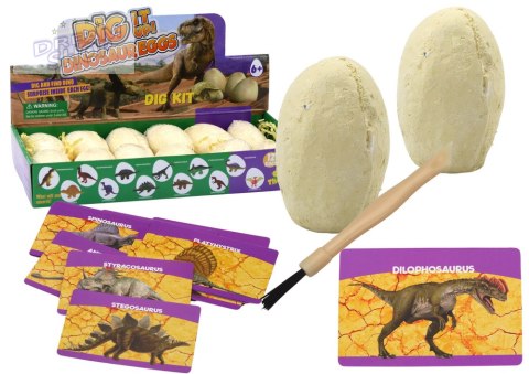Zestaw Archeologiczny Wykopaliska Dinozaury Jaja Karty 12 Sztuk