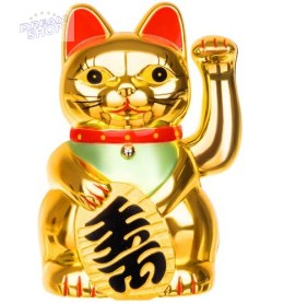 Kot chiński - złoty