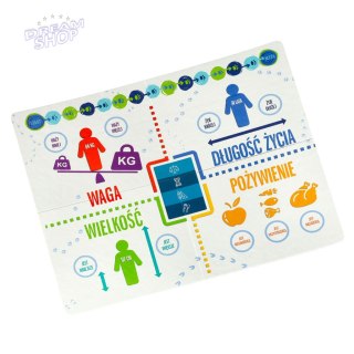 Gra edukacyjna Na tropie gra dla ciekawskich 8+ MULTIGRA