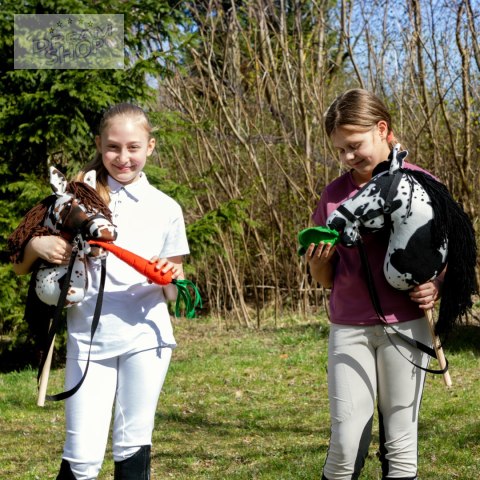 Smaczki dla Hobby Horse - marchewka kapusta jabłko rzodkiewka cukier Smaczki dla Hobby Horse - marchewka kapusta jabłko rzodkiewka cukier