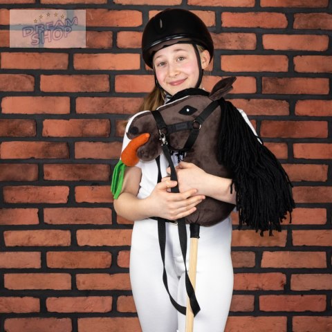 Smaczki dla Hobby Horse - marchewka kapusta jabłko rzodkiewka cukier Smaczki dla Hobby Horse - marchewka kapusta jabłko rzodkiewka cukier